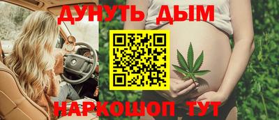 индика Тула