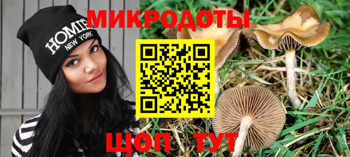 Псилоцибиновые грибы Cubensis  Вход с VPN  Якутск 