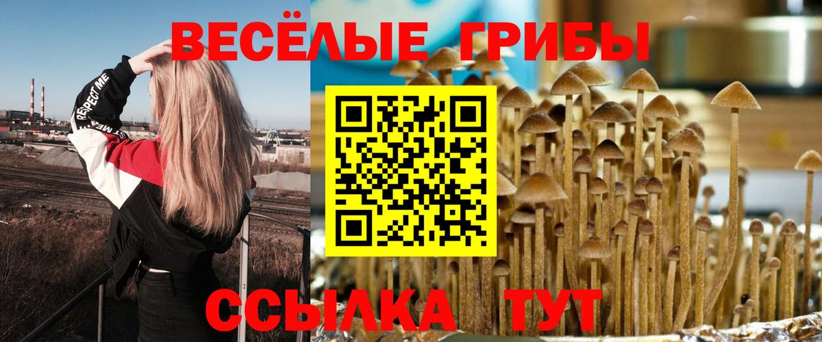 Галлюциногенные грибы мицелий Якутск